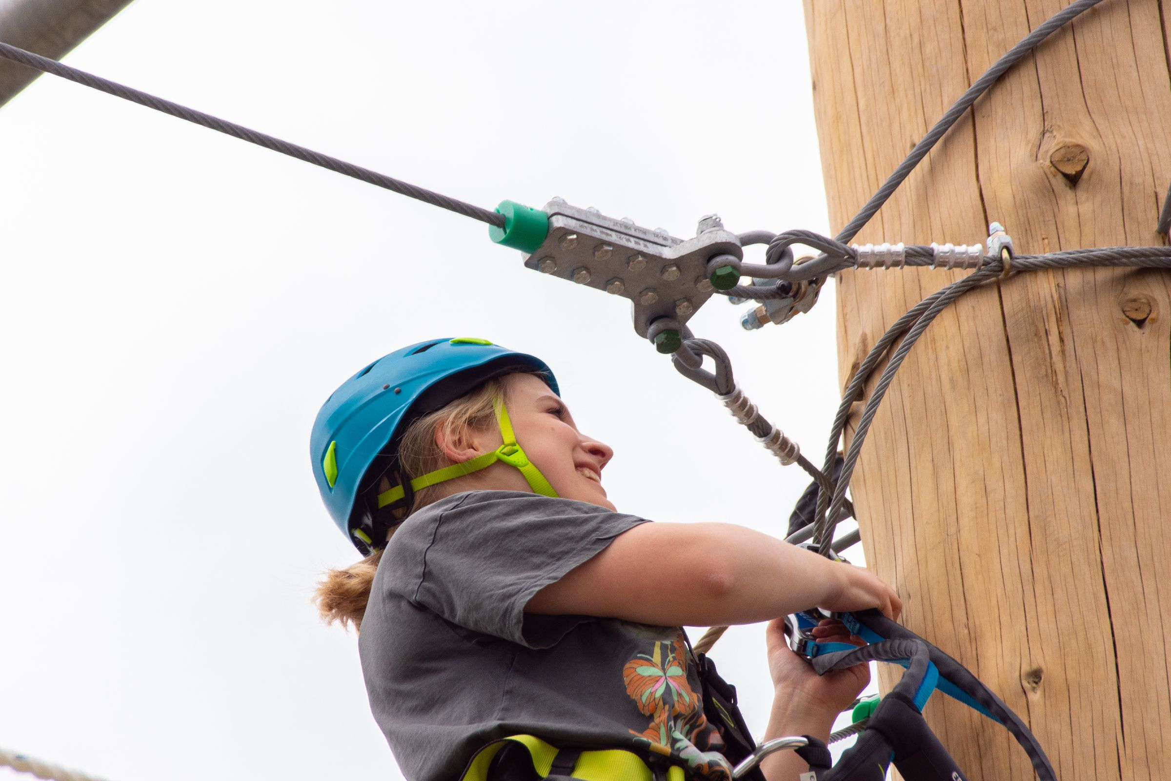 Zimmer Keller 31 124